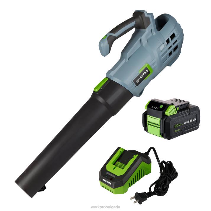 20v акумулаторна духалка за листа с 5 регулируеми скорости 4.0ah батерия с по-голям капацитет и включено бързо зарядно устройство L4XH292 полезно WORKPRO инструмент